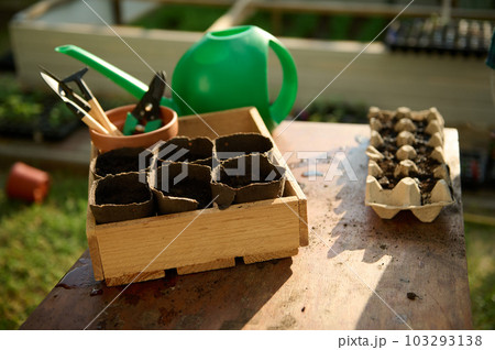 Close-up disposable peat pots in wooden box and cassettes with sown seeds, next to a green watering can and gardening tools on rustic wooden table in country garden. Gardening Agriculture Eco farming 103293138