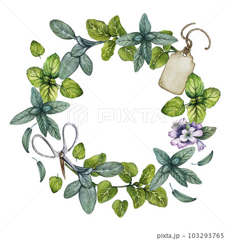 Wreath of oregano, sage, tag. Watercolor illustration 103293765