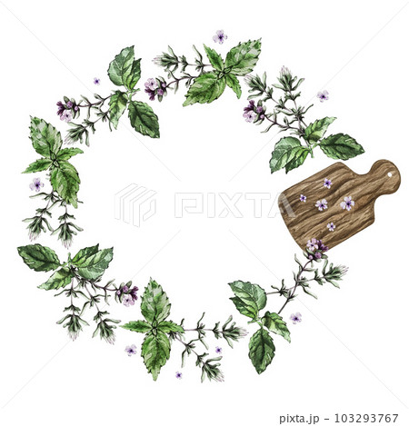Compositions of thyme, basil and cutting board. Watercolor illustration 103293767