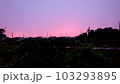 夕焼け空色。 103293895