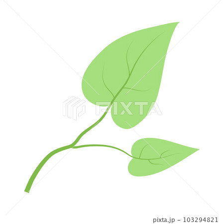 Green leaves isolated at white background, eco friendly concept, save nature, natural product icon Green leaves isolated at white background, eco friendly concept, save nature, natural product icon 103294821
