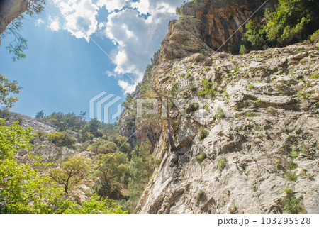 Fantastic evening panorama of Bachalp lake / Bachalpsee, Switzerland. Picturesque autumn sunset in Swiss alps, Grindelwald, Bernese Oberland, Europe. Beauty of nature concept background. 103295528