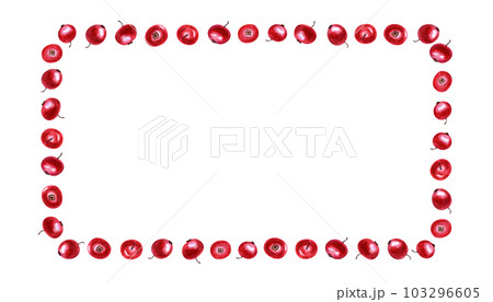 Watercolor rectangle frame of red cowberries. Hand drawn illustration isolated on white background. For different cards, greetings, invitations. Christmas style. Watercolor rectangle frame of red cowberries. Hand drawn illustration isolated on white background. For different cards, greetings, invitations. Christmas style. 103296605