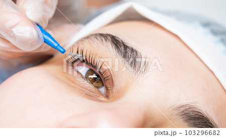 The master combs the eyelashes of the client after the lamination procedure.  103296682