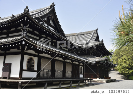 舎利殿と佛殿 泉涌寺 舎利殿と佛殿 泉涌寺 103297613