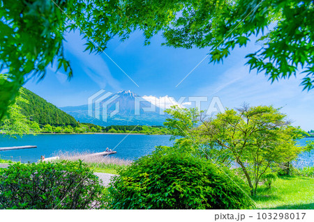 【初夏素材】田貫湖から見る富士山【静岡県】 【初夏素材】田貫湖から見る富士山【静岡県】 103298017