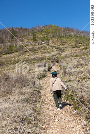 春の野反湖　シラネアオイ群生地までの道 103299092