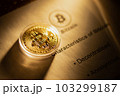 Bitcoin virtual money and fiat money coins euro 103299187