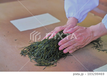 さっぽろライラックまつり らいらっく茶屋 さっぽろライラックまつり らいらっく茶屋 103299469