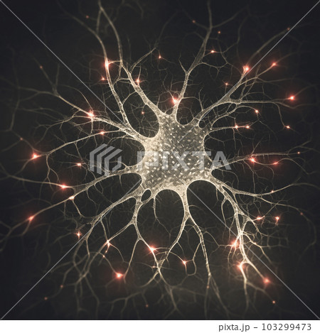Human Nervous System 103299473