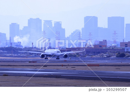 大阪伊丹空港離着陸 大阪伊丹空港離着陸 103299507