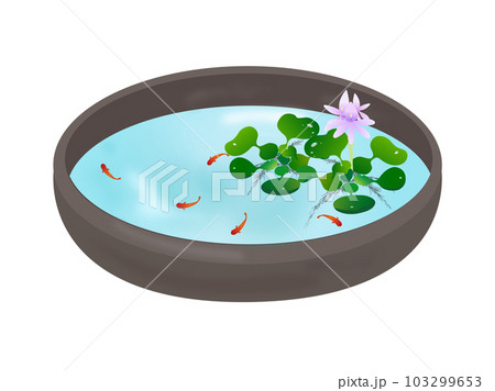 紫の花が咲いたほてい草と赤いメダカが泳ぐ水槽 紫の花が咲いたほてい草と赤いメダカが泳ぐ水槽 103299653