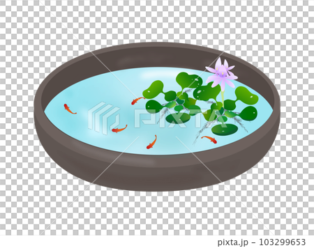 紫の花が咲いたほてい草と赤いメダカが泳ぐ水槽 紫の花が咲いたほてい草と赤いメダカが泳ぐ水槽 103299653