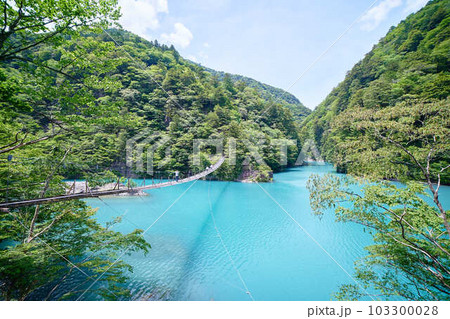 寸又峡_No6 寸又峡_No6 103300028