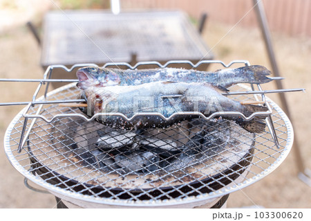 イワナの塩焼き 103300620