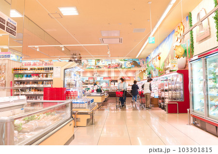 5月・家族でスーパーマーケットに買い物へ、物価上昇で食料品が値上がりのため節約する主婦 103301815