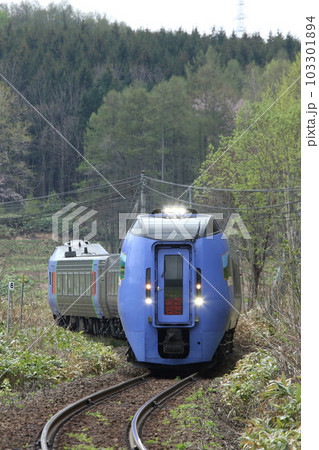 新緑の石北本線を駆ける特急オホーツク　キハ283系　キハ283　特急オホーツク 103301894