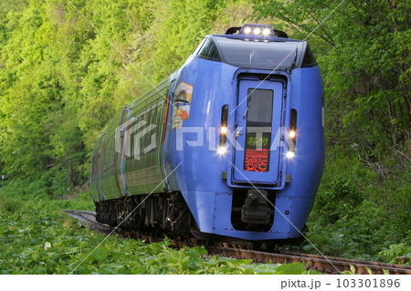 新緑の石北本線を駆ける特急オホーツク キハ283系 キハ283 特急オホーツク 新緑の石北本線を駆ける特急オホーツク キハ283系 キハ283 特急オホーツク 103301896