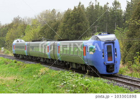 新緑の石北本線を駆ける特急オホーツク　キハ283系　キハ283　特急オホーツク 103301898