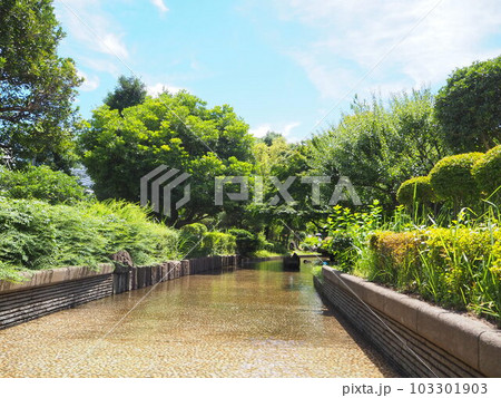 公園に流れる小川 公園に流れる小川 103301903