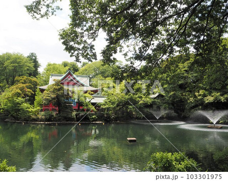 井の頭公園の風景 103301975