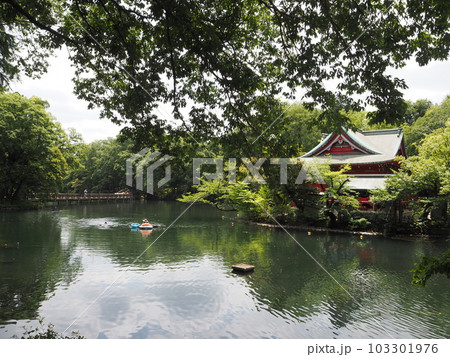 井の頭公園の風景 103301976