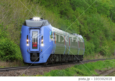 新緑の石北本線を駆ける臨時特急大雪 特急大雪 キハ283系 283系 新緑の石北本線を駆ける臨時特急大雪 特急大雪 キハ283系 283系 103302010