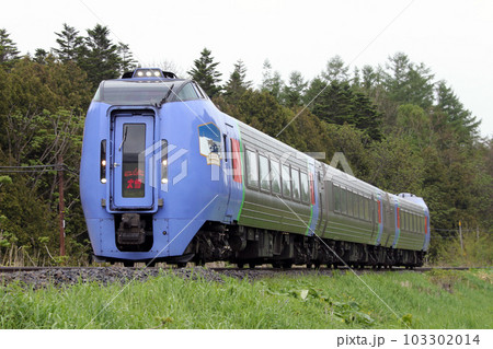 新緑の石北本線を駆ける臨時特急大雪　特急大雪　キハ283系　283系 103302014