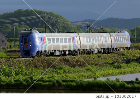 新緑の石北本線を駆ける臨時特急大雪　特急大雪　キハ283系　283系 103302017