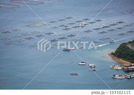 奄美大島瀬戸内町の養殖網 103302115
