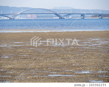 和白干潟(博多湾奥に広がる干潟)。福岡市東区。 和白干潟(博多湾奥に広がる干潟)。福岡市東区。 103302255