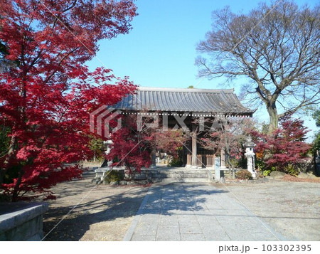 遍照院　　（埼玉県行田市） 103302395