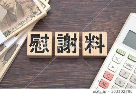 慰謝料 慰謝料 103302796