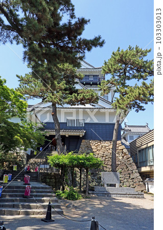 岡崎城（岡崎） 103303013