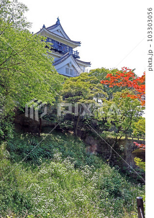 岡崎城（岡崎） 103303056