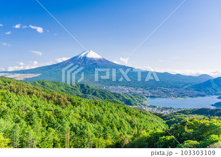 【山梨県】新緑の御坂道から初夏に雪化粧した富士山 【山梨県】新緑の御坂道から初夏に雪化粧した富士山 103303109