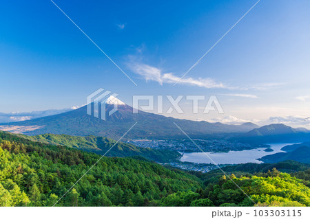 【山梨県】新緑の御坂道から初夏に雪化粧した富士山 【山梨県】新緑の御坂道から初夏に雪化粧した富士山 103303115