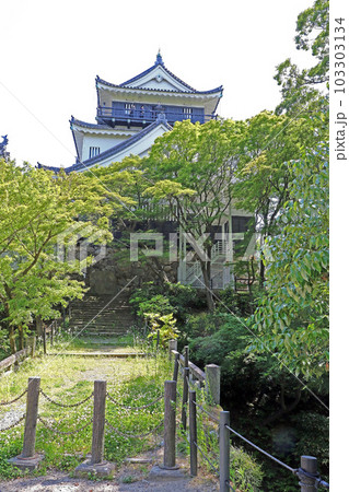 岡崎城（岡崎） 103303134