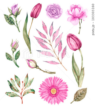 Watercolor set of pink flowers on white background 103303160