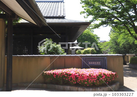 サツキ咲く名古屋能楽堂 103303227
