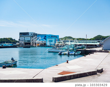 和歌山県・南紀勝浦町の勝浦港の風景 103303429