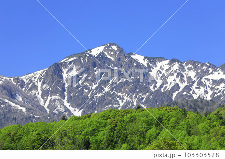 北海道 富良野市 残雪の芦別岳と新緑の森 北海道 富良野市 残雪の芦別岳と新緑の森 103303528