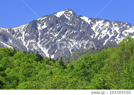 北海道 富良野市 残雪の芦別岳と新緑の森 北海道 富良野市 残雪の芦別岳と新緑の森 103303530