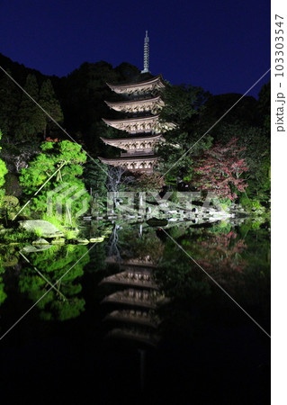 輝く瑠璃光寺　光に包まれる五重塔 103303547