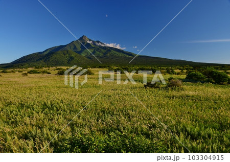 利尻島の夕暮れ 103304915