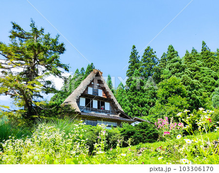 五箇山・相倉合掌造り集落(夏) 五箇山・相倉合掌造り集落(夏) 103306170