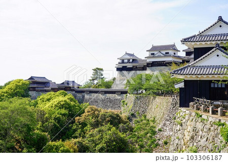 新緑の松山城(愛媛県松山市) 新緑の松山城(愛媛県松山市) 103306187