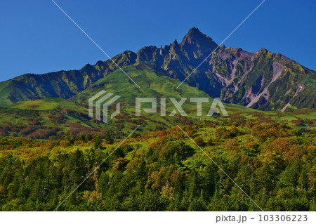 青空に映える利尻富士 青空に映える利尻富士 103306223