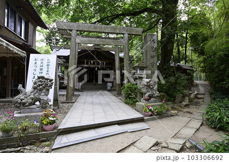 伏見神宝神社 社殿 伏見神宝神社 社殿 103306692