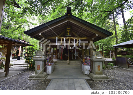 伏見神宝神社　社殿 103306700